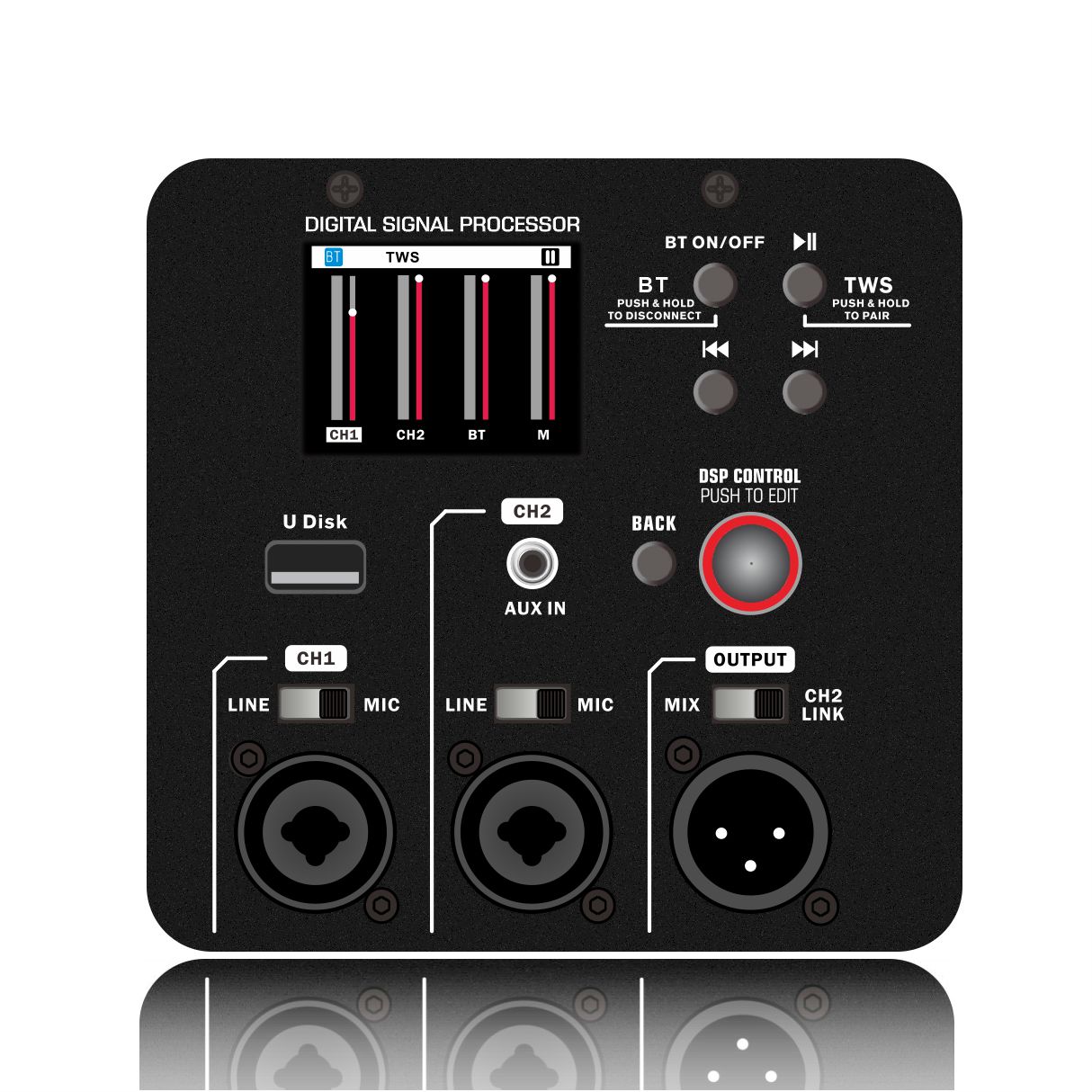 DSP2501 Amplificatore per altoparlanti attivi full-range