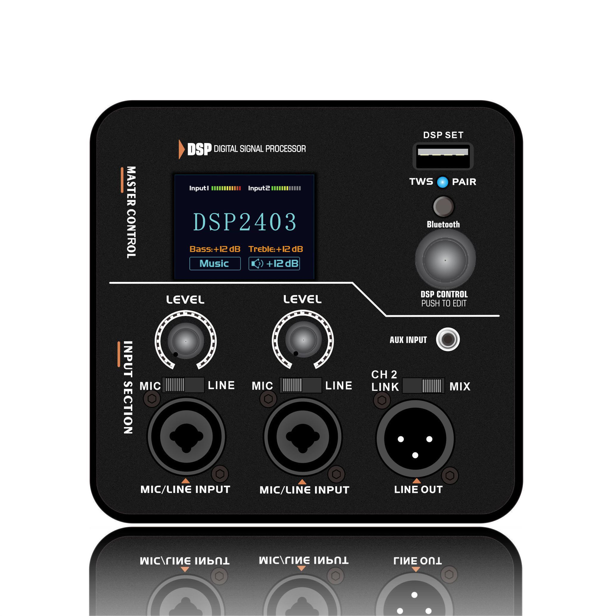 DSP2403 Amplificatore per altoparlanti attivi full-range